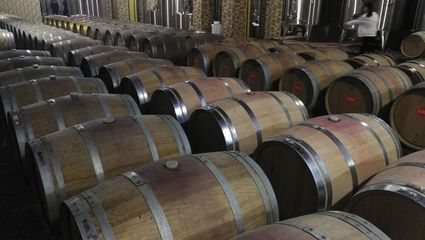 浪吳忠|走進(jìn)東方裕興酒莊 感受獨(dú)特的戈蕊紅