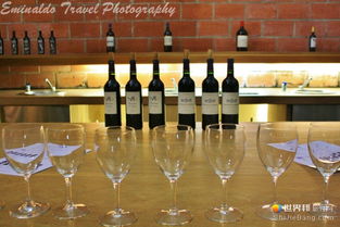 波爾多紅酒之魂 梅多克產區的葡萄酒銷售與市場魅力